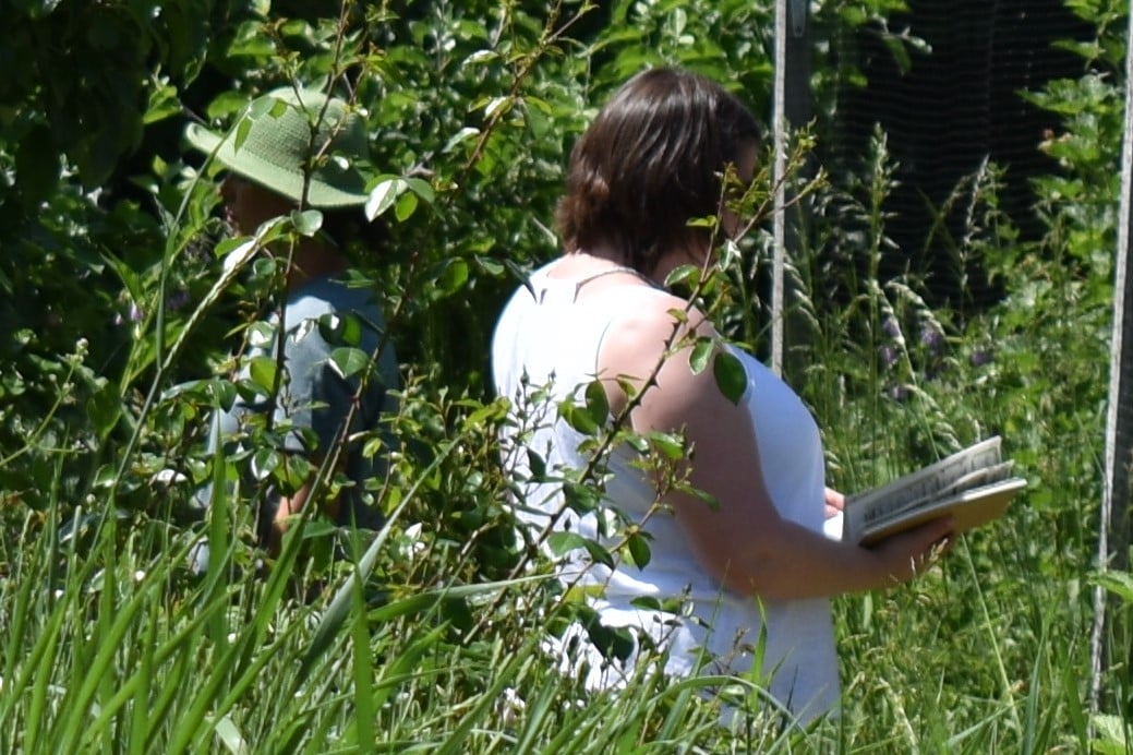 Artists in Residence at C2C Social Action: Lead Artist, 2020-2022