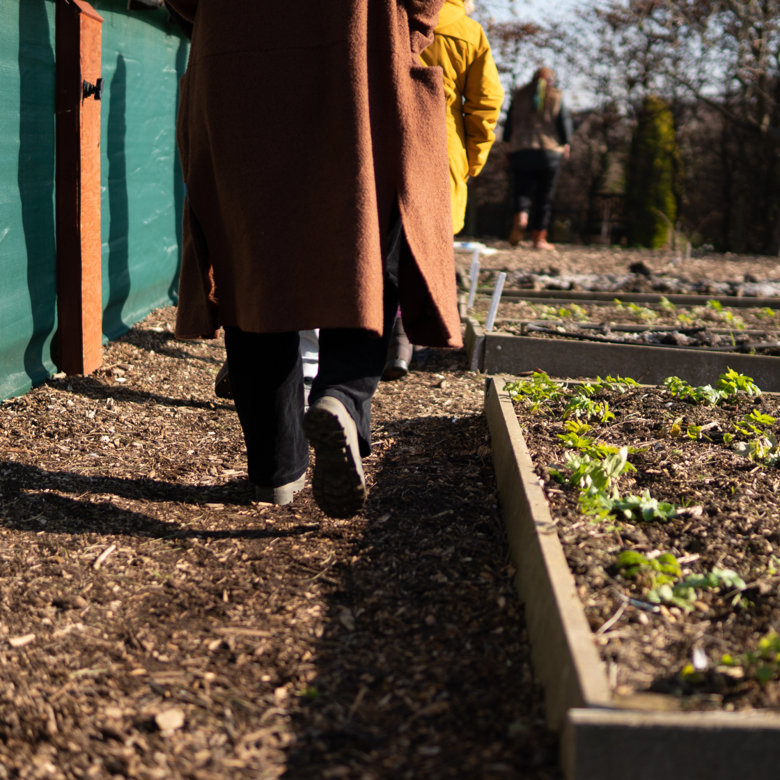 Sensing Sol Haven Through Drawing