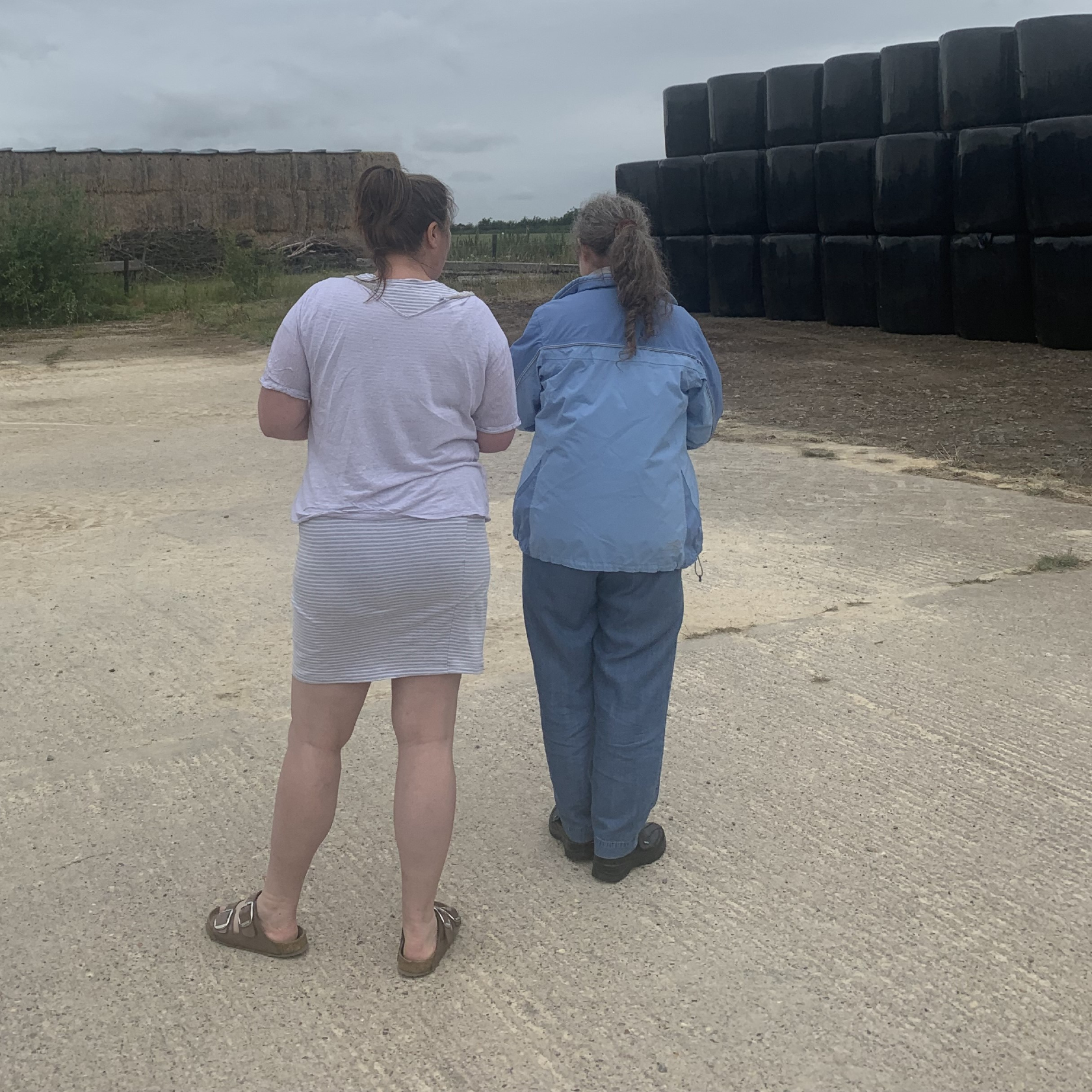 Sensing Sol Haven Through Sound and Voice